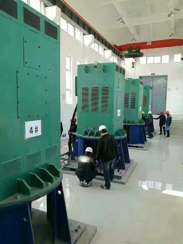 安徽某污水处理厂使用我厂的立式高压电机安装现场