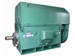 安徽YKK系列高压电机一年质保